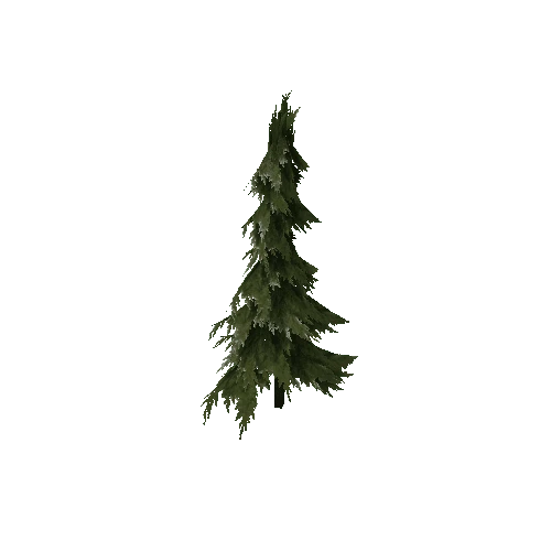 Pine (Type 1) Small 5